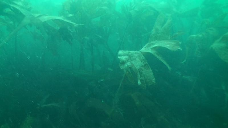 2009-09-23 11-53-05 08L.jpg